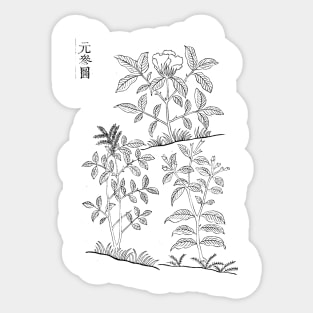 Vintage Chinese Plant Illustration Sticker